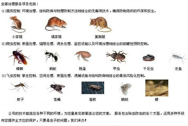 深圳消殺公司創衛環境如何做好驅蛇工作 其他害蟲
