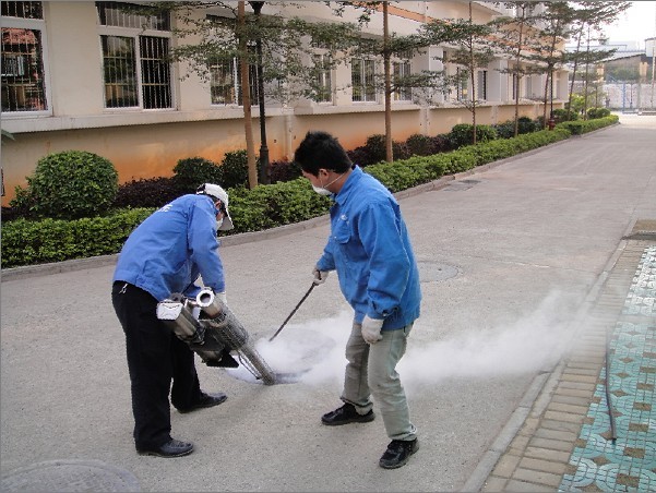 深圳灭蚊子公司对于蚊子的防制措施 公司新闻