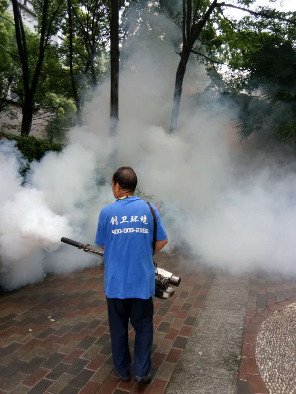 深圳杀虫公司对物业小区的消杀如何进行 公司新闻