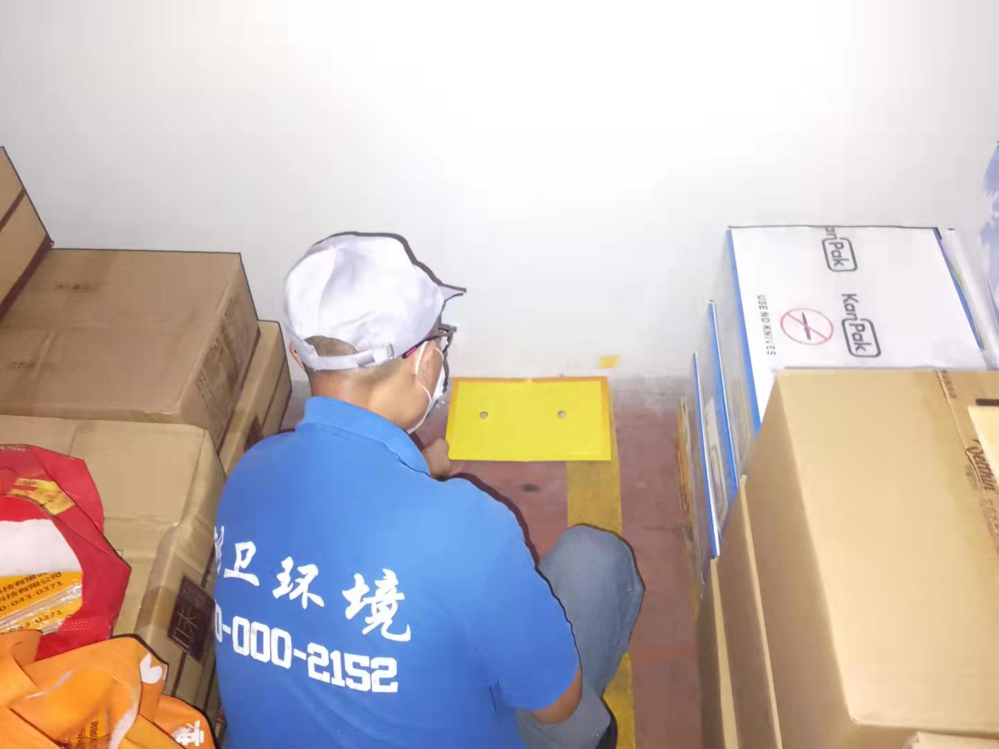 深圳杀虫灭鼠公司服务流程规范