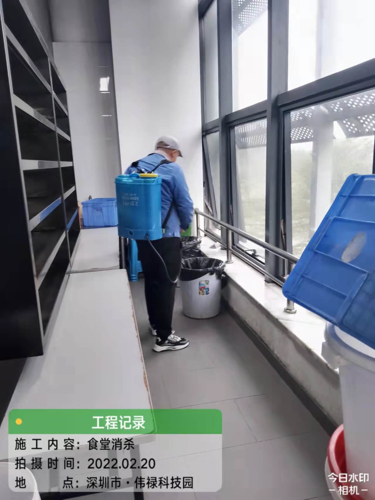 深圳杀虫灭鼠公司常见害虫的防制 公司新闻