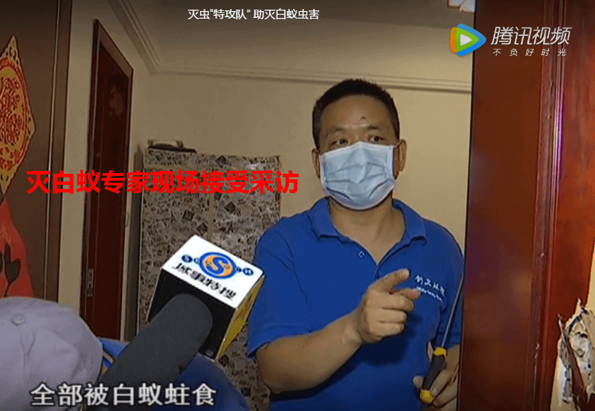 深圳灭白蚁专家告诉您防制白蚁侵入家中的方法 公司新闻