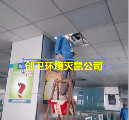 深圳杀虫公司提供本地灭鼠服务 公司新闻